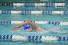 Swimming & Diving vs RWU  Swimming & Diving vs Roger Williams University. - Photo by Keith Nordstrom : Wheaton, Swimming
